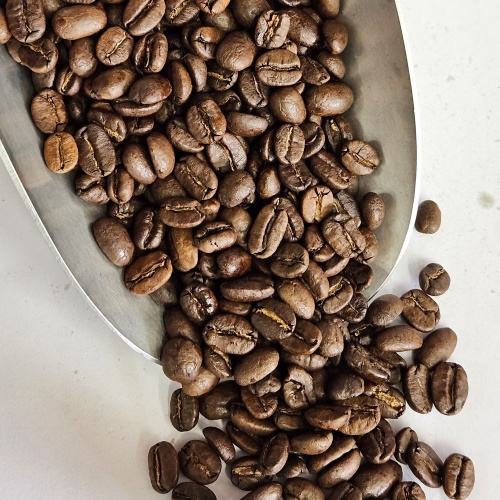 Nicaragua (300 g, bio-équitable)